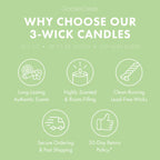 Green Grass & Apple 3-Wick Candle