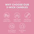 Pink Bellini Large 3-Wick Candle