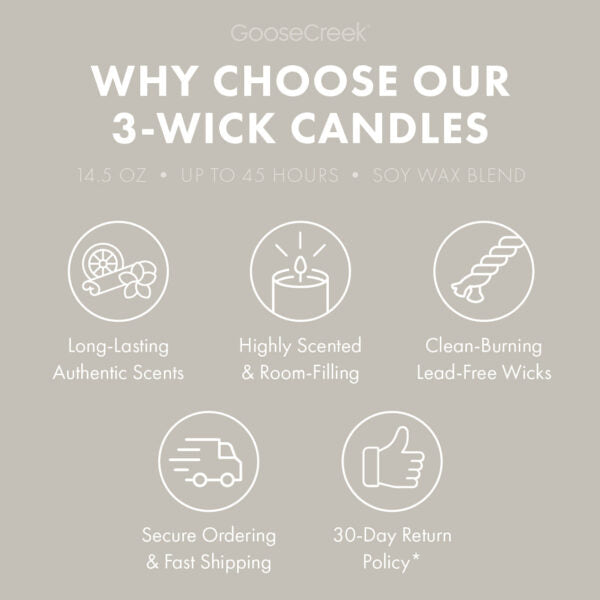 Clean Girl Aesthetic 3-Wick Candle