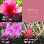 Hibiscus Orchid 3-Wick Candle