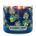 Blueberry Limeade 3-Wick Candle