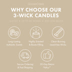 Golden Coconut Glow 3-Wick Candle