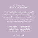 Peanut Butter & Jelly 3-Wick Candle