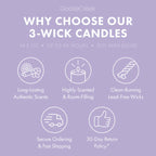 Odor Eliminating Lavender Vanilla 3-Wick Candle