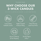 Eucalyptus & Mint Aromatherapy 3-Wick Candle