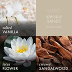 Vanilla Sands 3-Wick Candle