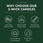 Papaya Leaf & Bamboo 3-Wick Candle