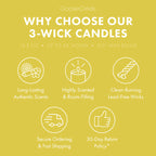 SpongeBob Square Pants 3-Wick Candle